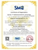 China Dongguan Tai Fu Machinery co., LTD certificaten